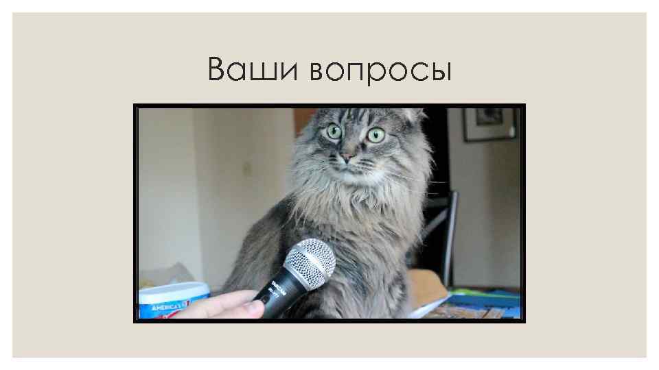 Ваши вопросы 