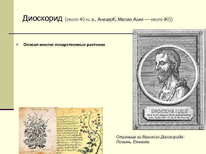 Диоскорид (около 40 н. э. , Аназарб, Малая Азия — около 90)) n Описал