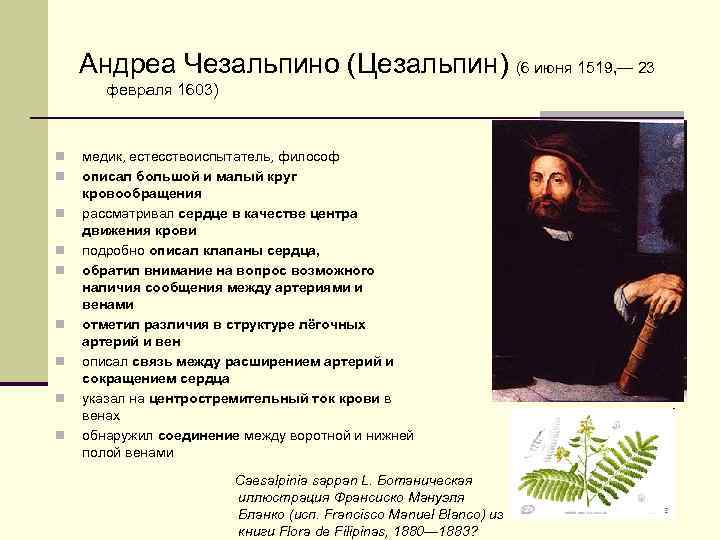 Андреа Чезальпино (Цезальпин) (6 июня 1519, — 23 февраля 1603) n n n n