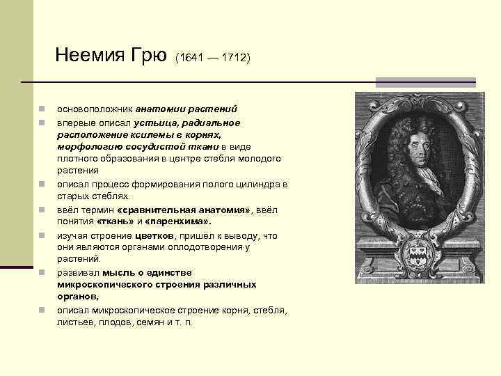 Неемия Грю n n n n (1641 — 1712) основоположник анатомии растений впервые описал