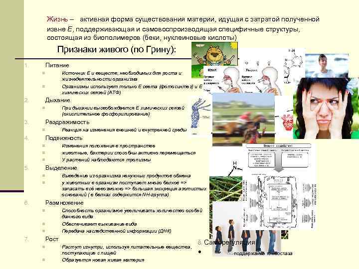 Жизнь – активная форма существования материи, идущая с затратой полученной извне E, поддерживающая и