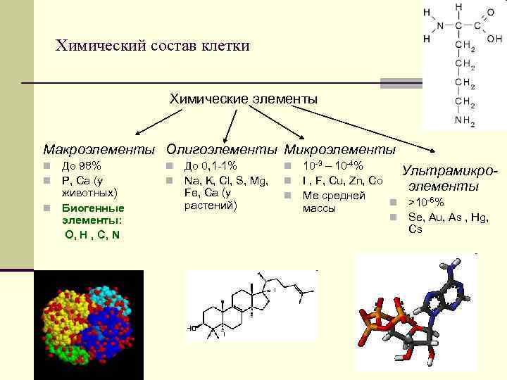 Макроэлементы белков. Клеточный компонент состав. Химический состав клетки схема. Химические элементы клетки макроэлементы. Макроэлементы 2) микроэлементы 3) ультрамикроэлементы.