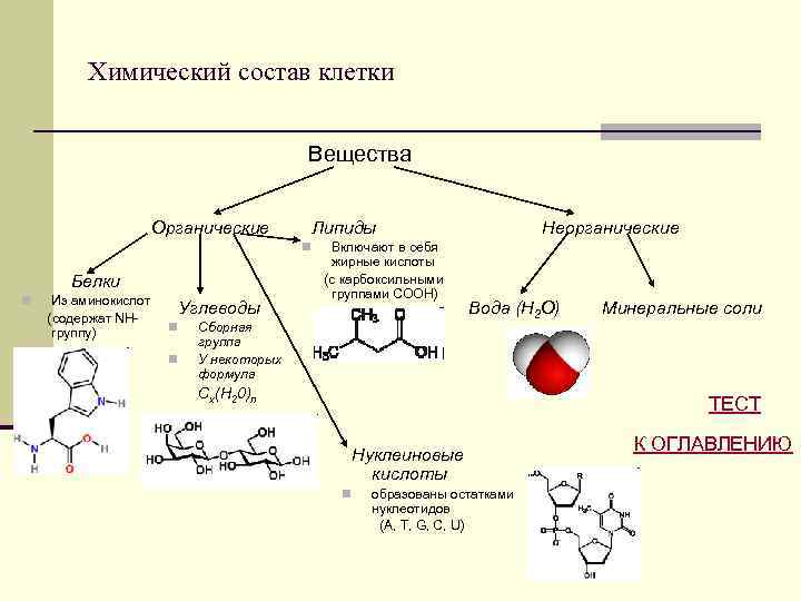 Химический состав клетки вещества