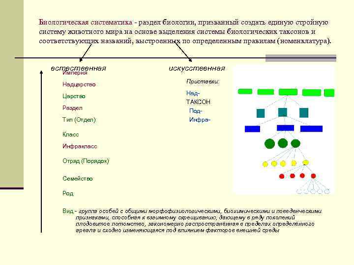 Принципы классификации систематика биология 11 класс презентация