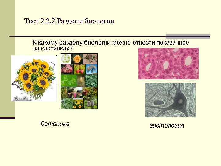 Тест 2. 2. 2 Разделы биологии К какому разделу биологии можно отнести показанное на
