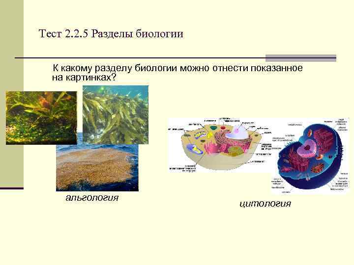 Можно биология