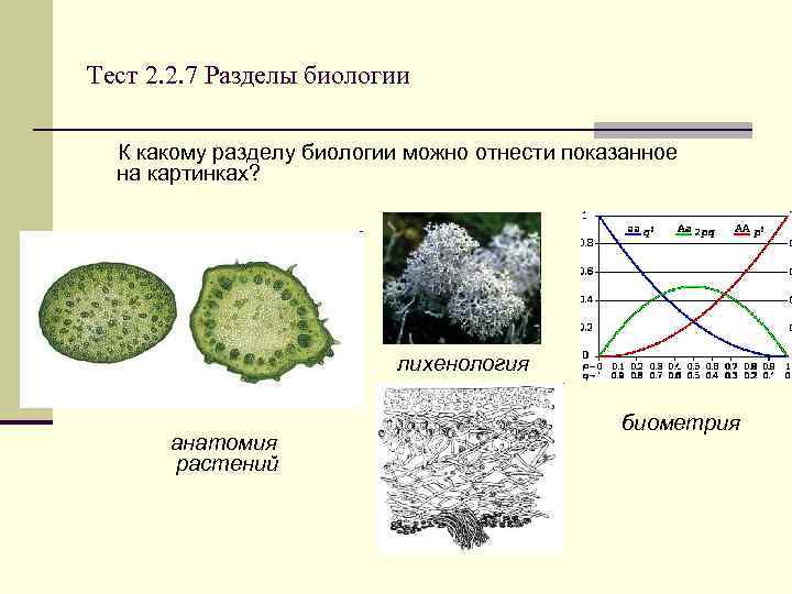 Можно биология. Лихенология растений. Лихенология это раздел биологии. Анатомия растений олимпиада. Лихенология примеры.