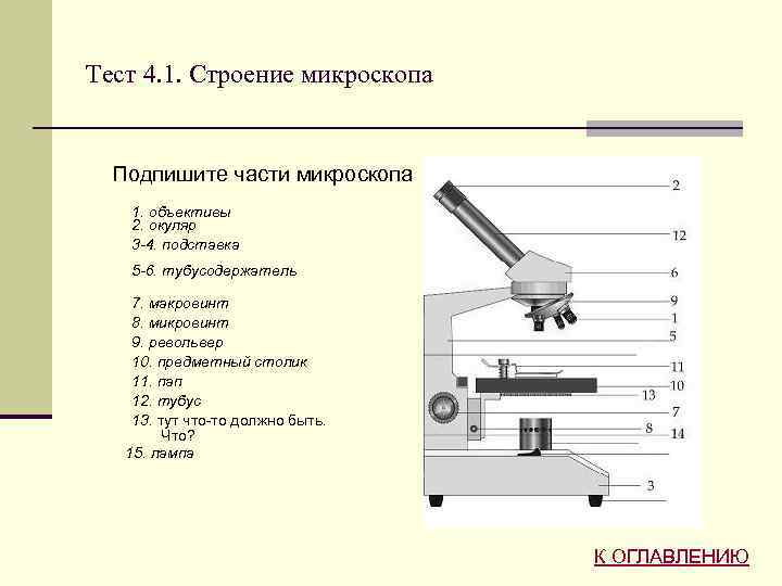 Строение теста