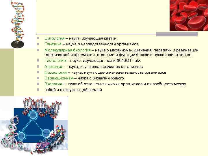 Наука изучающая клетку называется. Науки которые изучают клетки. Где хранится информация в клетке. Основная наследственная информация в клетке хранится в.