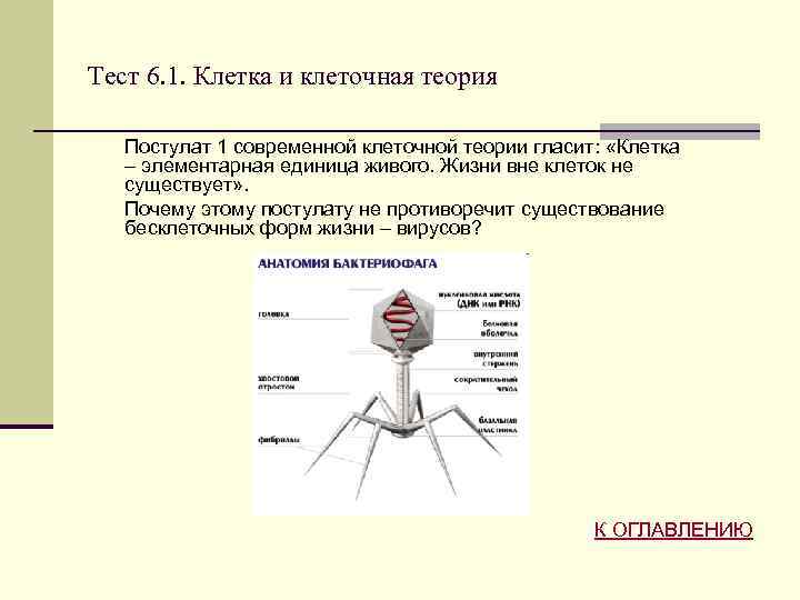 Тест 6. 1. Клетка и клеточная теория Постулат 1 современной клеточной теории гласит: «Клетка