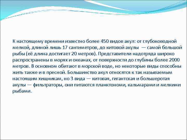 К настоящему времени известно более 450 видов акул: от глубоководной мелкой, длиной лишь 17