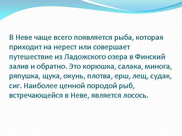 В Неве чаще всего появляется рыба, которая приходит на нерест или совершает путешествие из