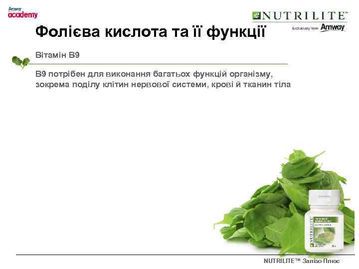 Фолієва кислота та її функції Вітамін B 9 потрібен для виконання багатьох функцій організму,