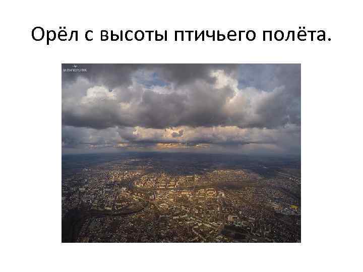 Орёл с высоты птичьего полёта. 