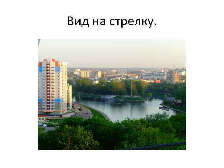 Вид на стрелку. 