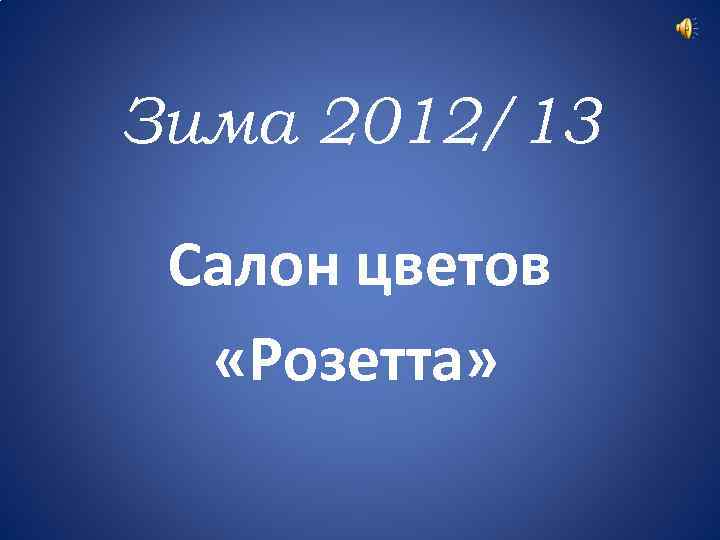 Зима 2012/13 Салон цветов «Розетта» 