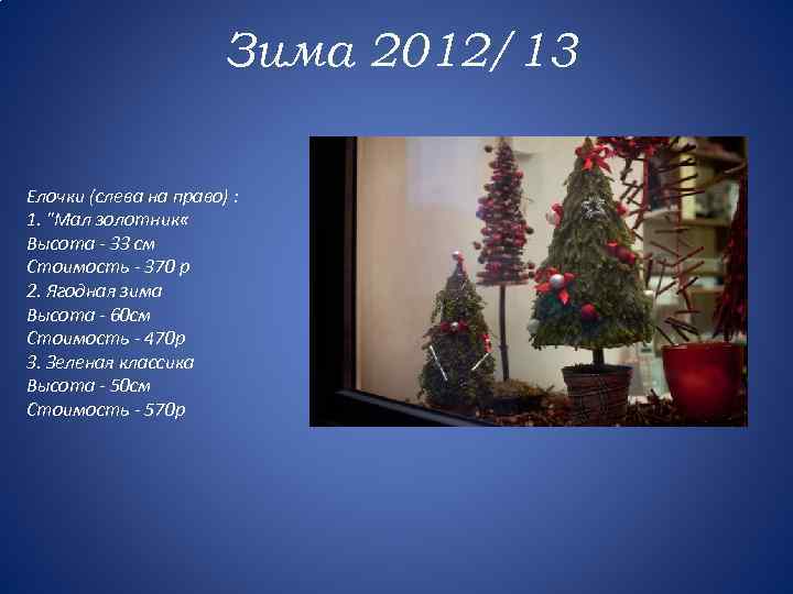 Зима 2012/13 Елочки (слева на право) : 1. 