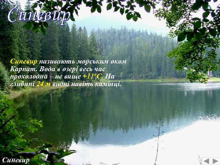 Синевир називають морським оком Карпат. Вода в озері весь час прохолодна – не вище