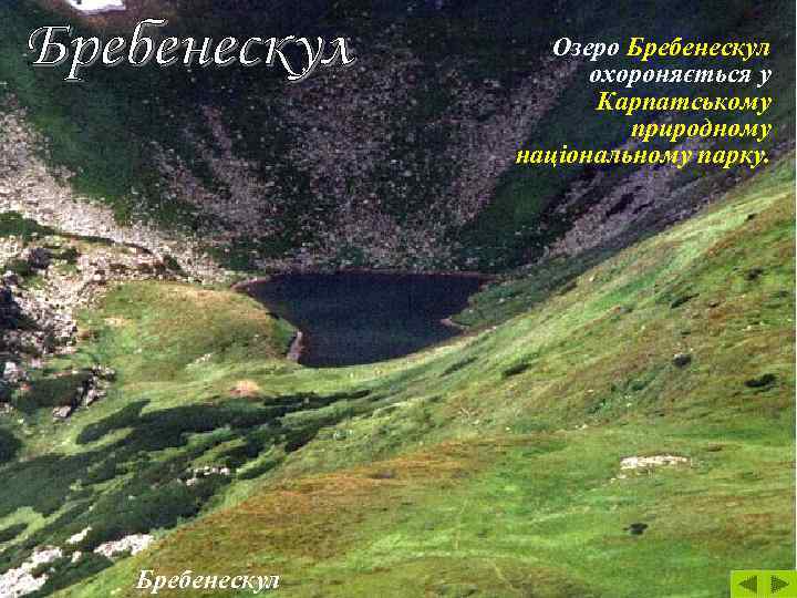 Озеро Бребенескул охороняється у Карпатському природному національному парку. Бребенескул 