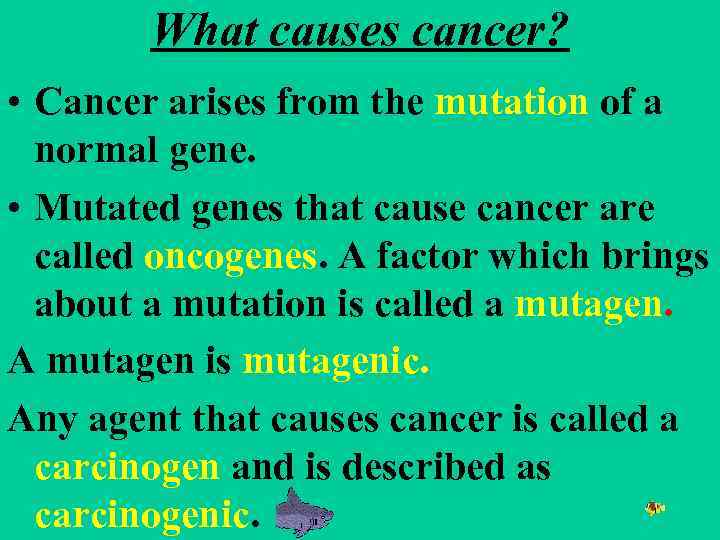 What causes cancer? • Cancer arises from the mutation of a normal gene. •