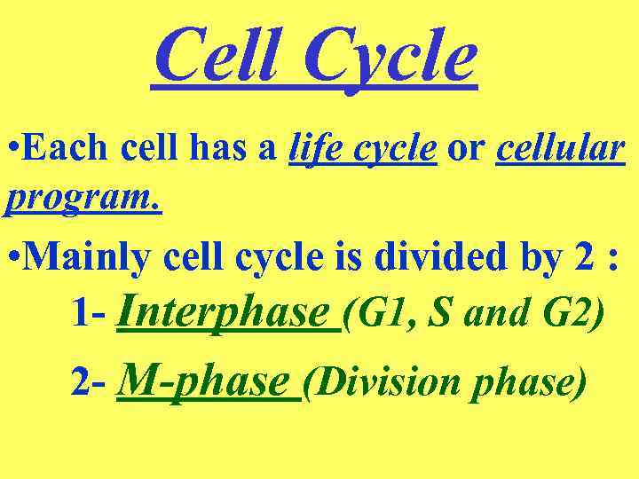 Cell Cycle • Each cell has a life cycle or cellular program. • Mainly