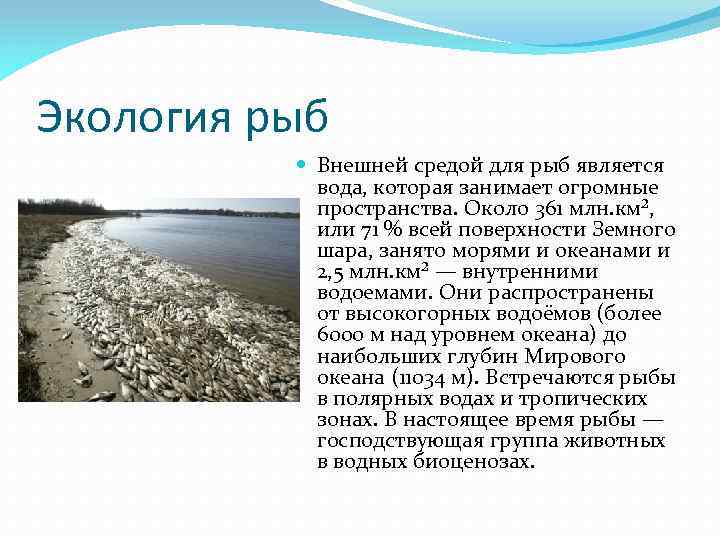 Экология рыб Внешней средой для рыб является вода, которая занимает огромные пространства. Около 361