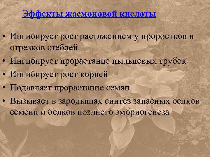 Эффекты жасмоновой кислоты • Ингибирует рост растяжением у проростков и отрезков стеблей • Ингибирует