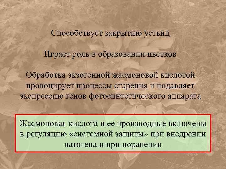 Способствует закрытию устьиц Играет роль в образовании цветков Обработка экзогенной жасмоновой кислотой провоцирует процессы