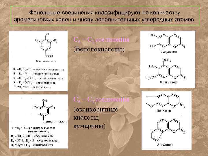 Фенольные соединения классифицируют по количеству ароматических колец и числу дополнительных углеродных атомов. С 6