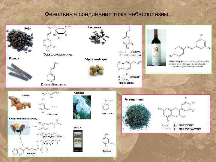 Фенольные соединения тоже небесполезны… 