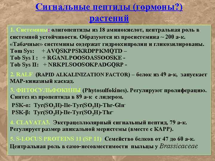 Сигнальные пептиды (гормоны? ) растений 1. Системины: олигопептиды из 18 аминокислот, центральная роль в