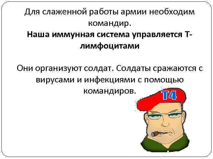 Для слаженной работы армии необходим командир. Наша иммунная система управляется Тлимфоцитами Они организуют солдат.