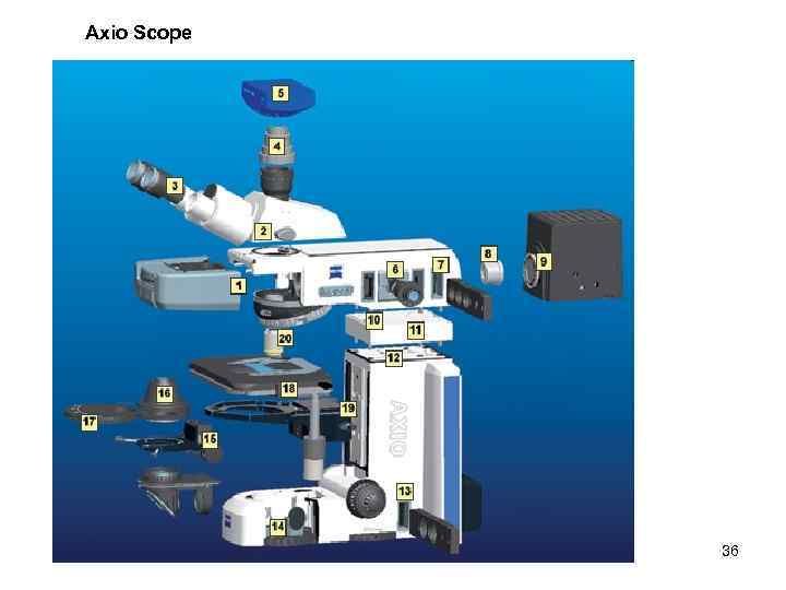 Axio Scope 36 