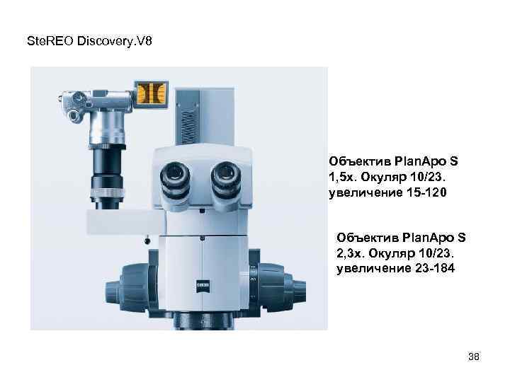Ste. REO Discovery. V 8 Объектив Plan. Apo S 1, 5 x. Окуляр 10/23.