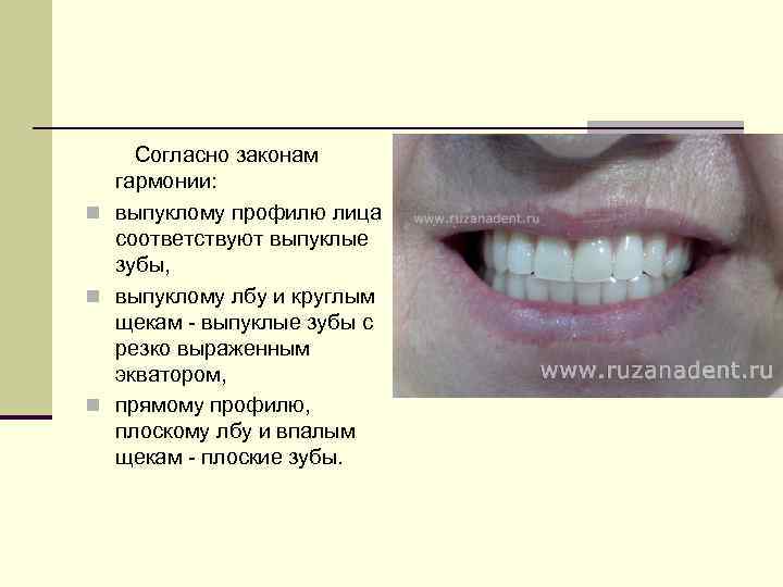 Согласно законам гармонии: n выпуклому профилю лица соответствуют выпуклые зубы, n выпуклому лбу и