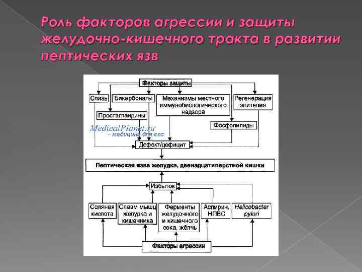 Роль факторов агрессии и защиты желудочно-кишечного тракта в развитии пептических язв 