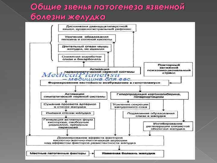 Общие звенья патогенеза язвенной болезни желудка 