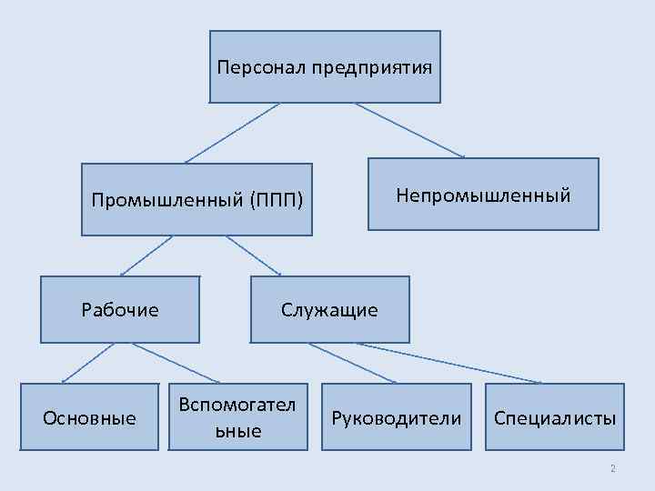 Производственные кадры предприятия. Структура непромышленного персонала предприятия. Персонал организации. Кадры предприятия.