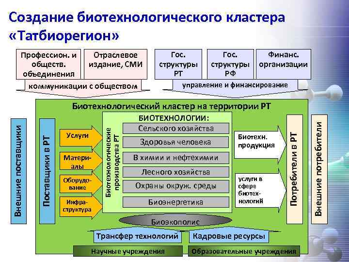 Общественные публикации. Кластер средства массовой информации. Кластер СМИ. Биотехнологический кластер. Кластер по средствам массовой информации.