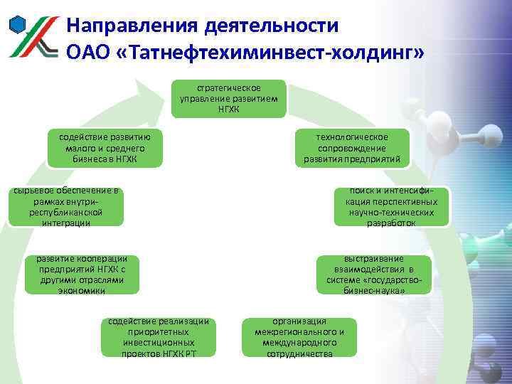 Направления деятельности ОАО «Татнефтехиминвест-холдинг» стратегическое управление развитием НГХК содействие развитию малого и среднего бизнеса