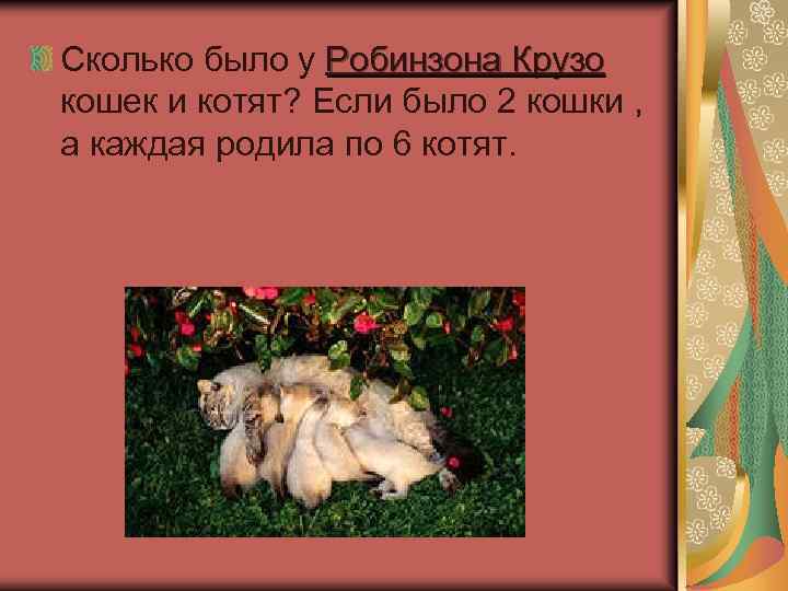 Сколько было у Робинзона Крузо кошек и котят? Если было 2 кошки , а