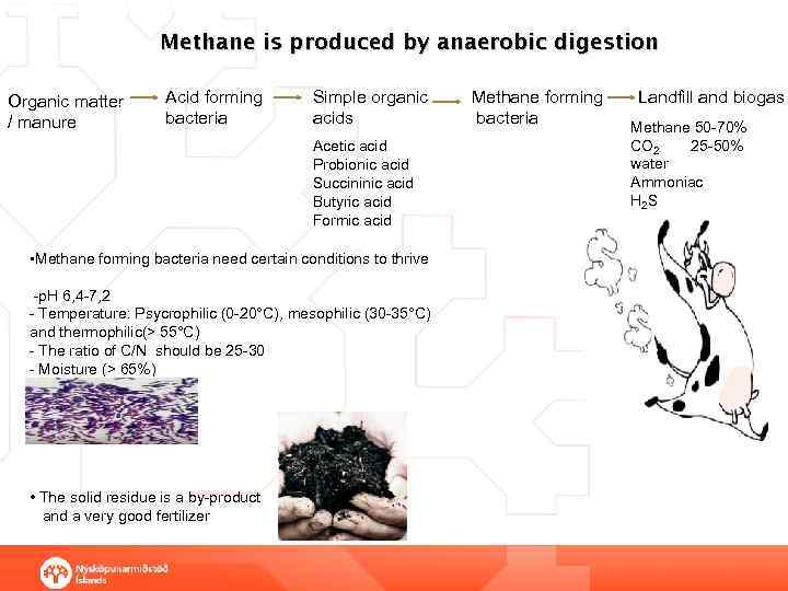 Methane is produced by anaerobic digestion Organic matter / manure Acid forming bacteria Kolvetni