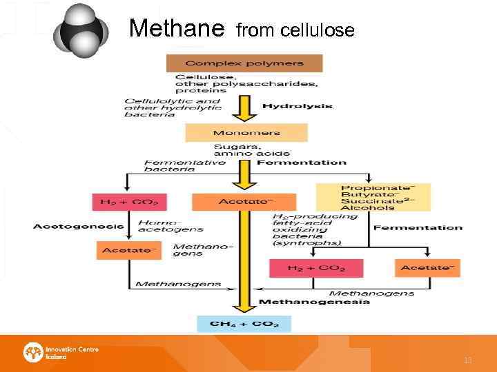 Methane from cellulose Thank you for your attention 13 