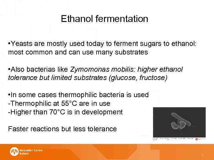 Ethanol fermentation • Yeasts are mostly used today to ferment sugars to ethanol: most