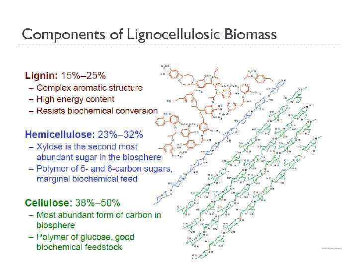 Components of Lignocellulosic Biomass 21 