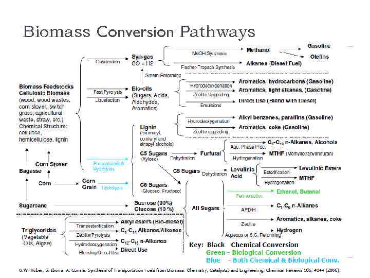 Biomass Conversion Pathways 