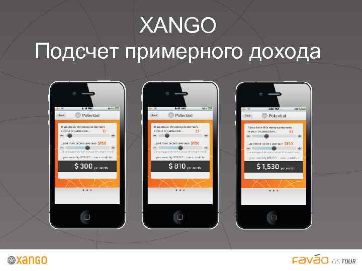 XANGO Подсчет примерного дохода 