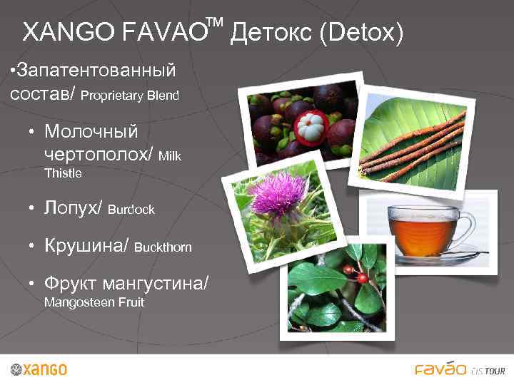 ™ XANGO FAVAO Детокс (Detox) • Запатентованный состав/ Proprietary Blend • Молочный чертополох/ Milk