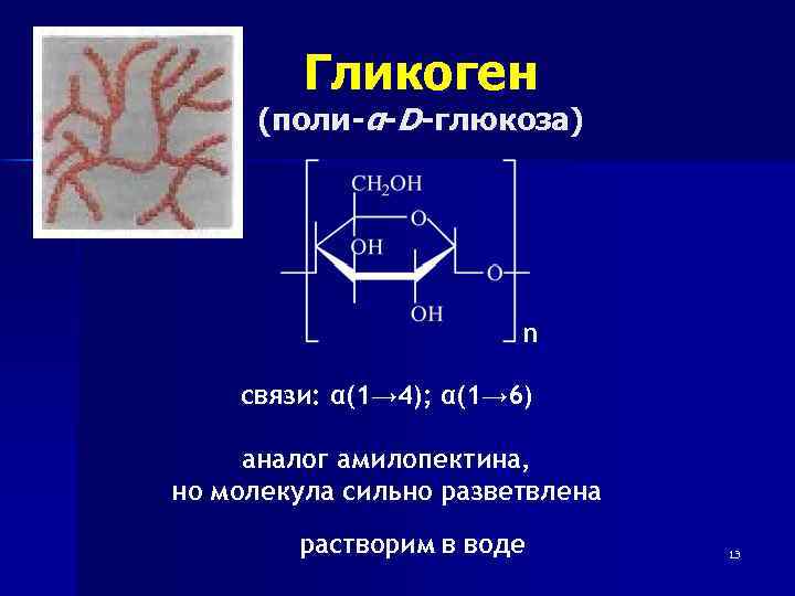 Молекулы биополимеров