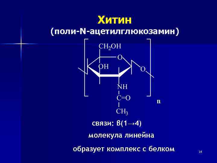 Хитин (поли-N-ацетилглюкозамин) n связи: β(1→ 4) молекула линейна образует комплекс с белком 14 